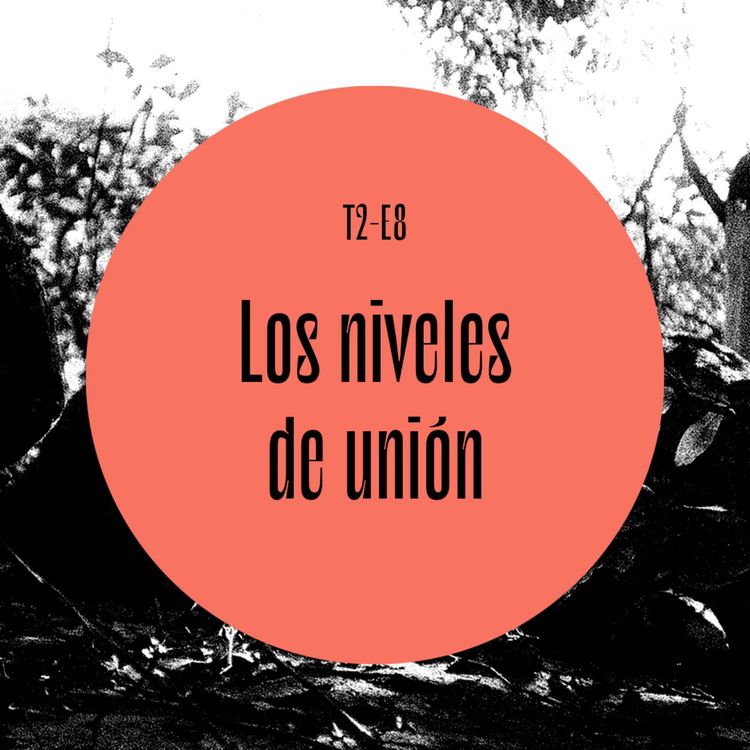 cover art for 37 | Los niveles de unión
