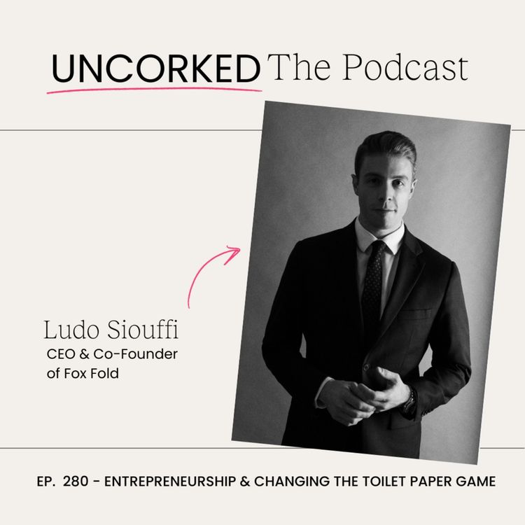 cover art for Entrepreneurship & Changing the Toilet Paper Game with Ludo Siouffi 