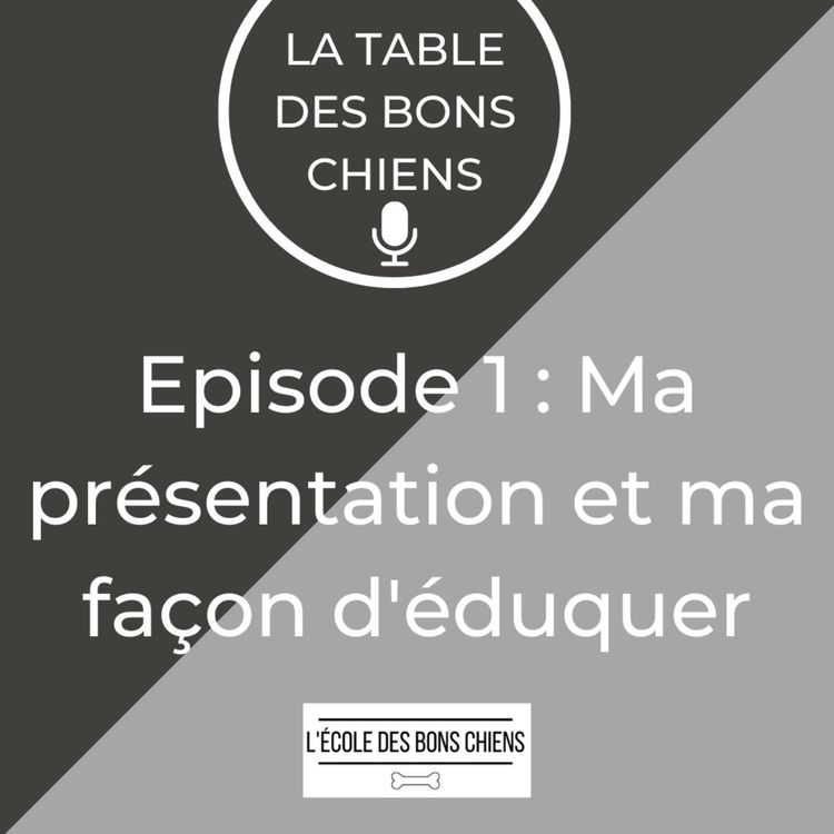 cover art for #1 Ma présentation et ma façon d'éduquer