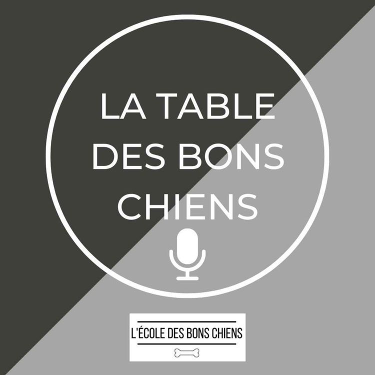 cover art for #3 Adopter un deuxième chien