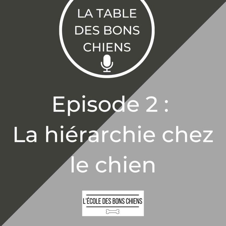 cover art for #2 La hièrarchie chez le chien