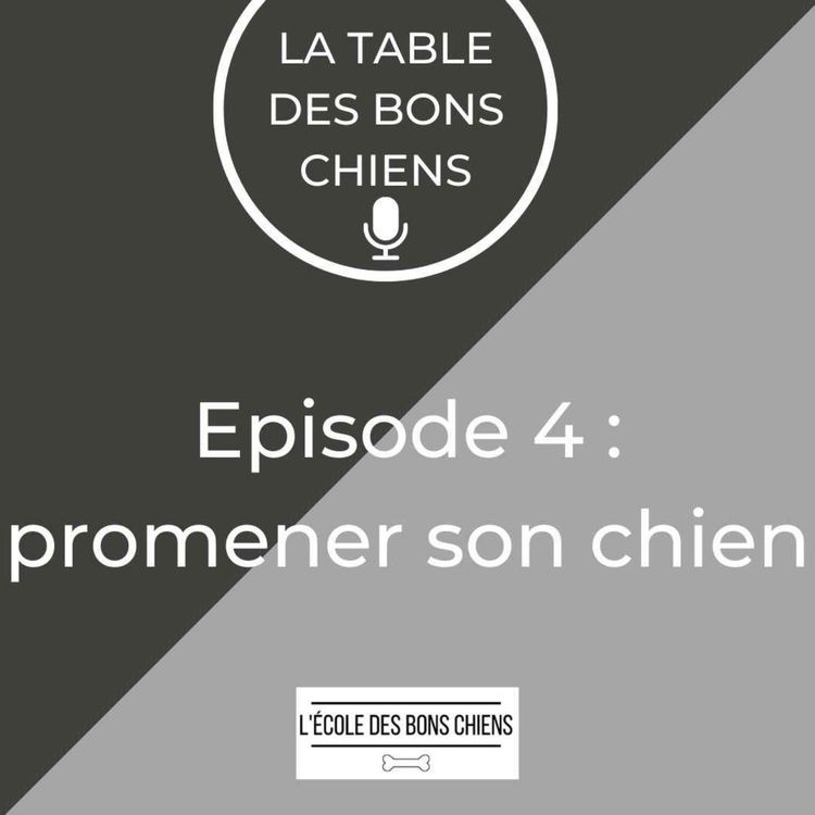 cover art for #4 Promener son chien