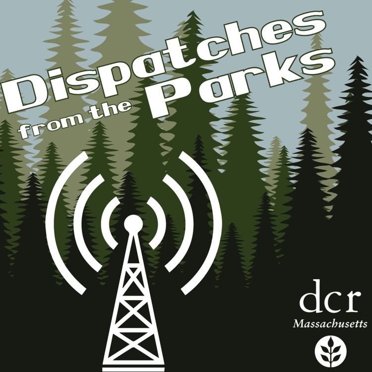 cover art for Dispatches from the Parks teaser