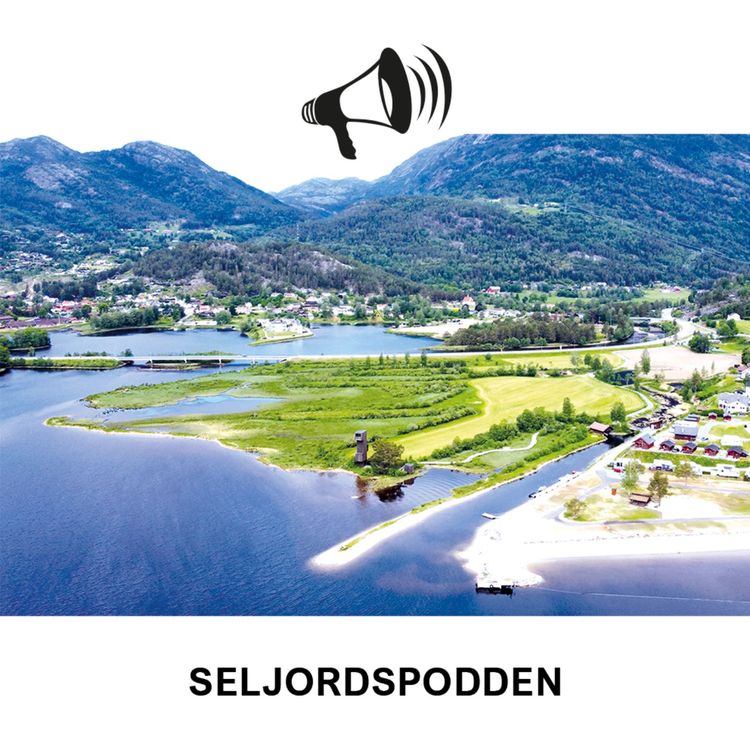 cover art for Hva skjer i Seljord i juni?