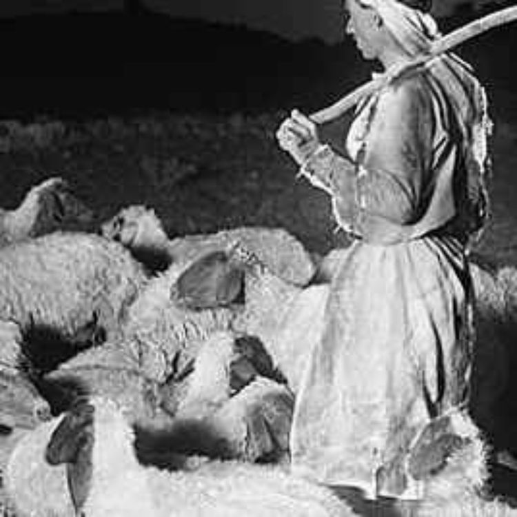 cover art for Tidings: A Shepherd's Story