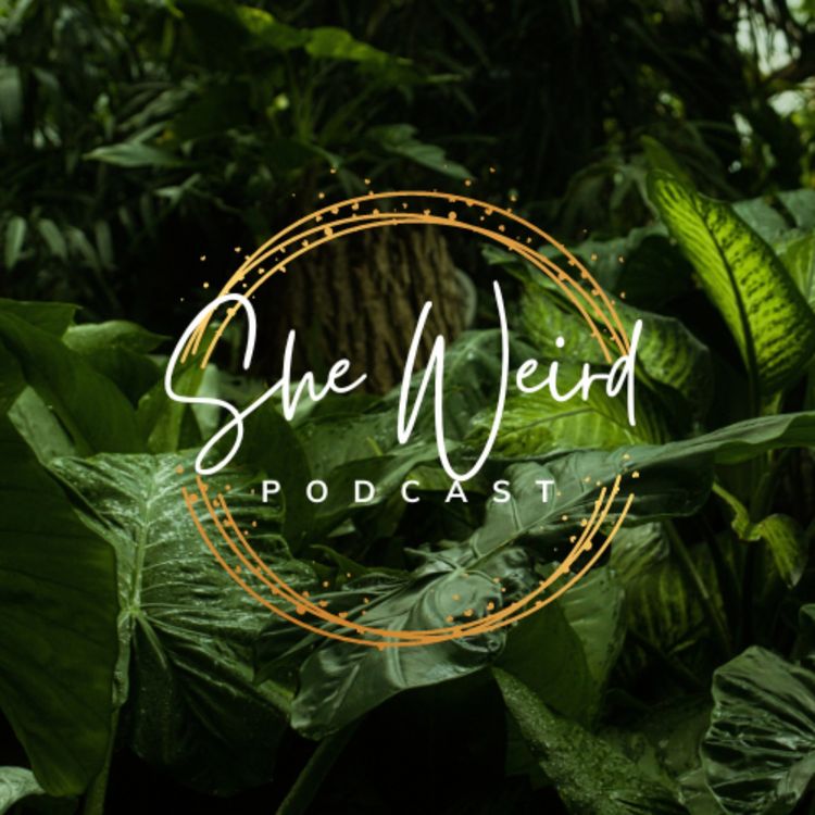 cover art for Blessing in the Redirection| SHE WEIRD