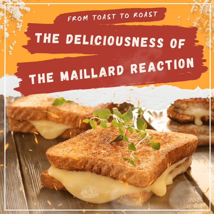 cover art for From Toast To Roast: The Deliciousness Of The Maillard Reaction