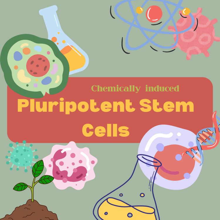 cover art for BIOLOGY EDITION: Chemically Induced Pluripotent Stem Cells