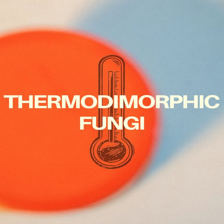 cover art for Thermodimorphic Fungi