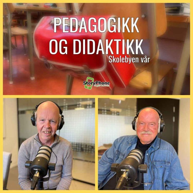 cover art for Skolebyen Hamar: Pedagogikk og didaktikk