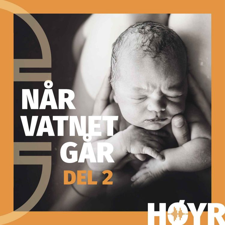 cover art for Når vatnet går: Fødde i vegkanten