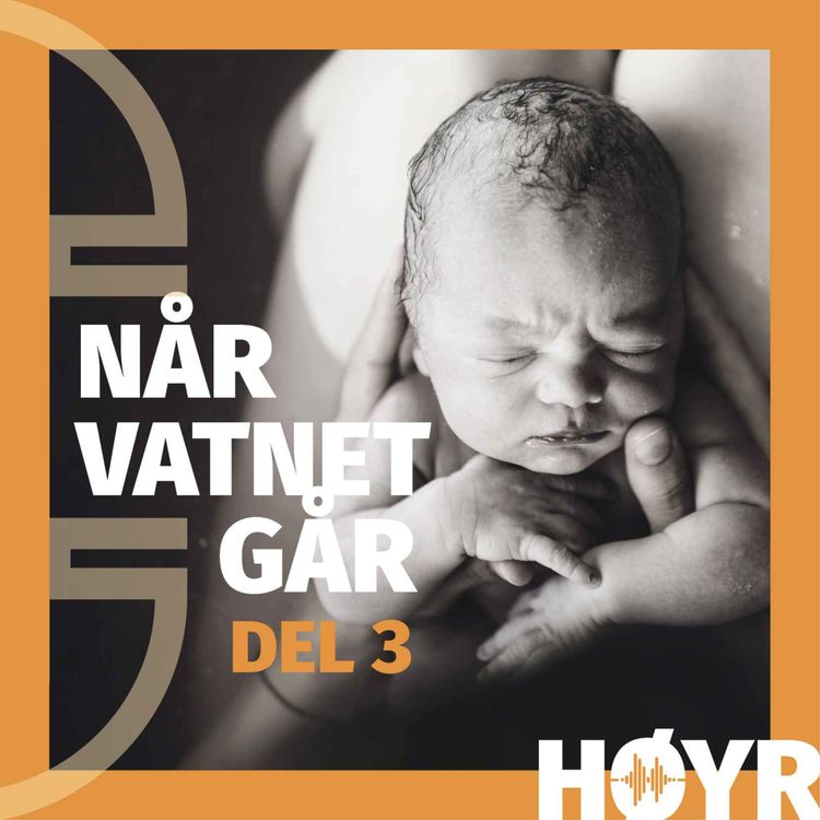 cover art for Når vatnet går: "Eg føder i ambulansen no"