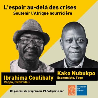Souveraineté alimentaire : il faut protéger l’agriculture africaine ! | L’espoir au delà des crises