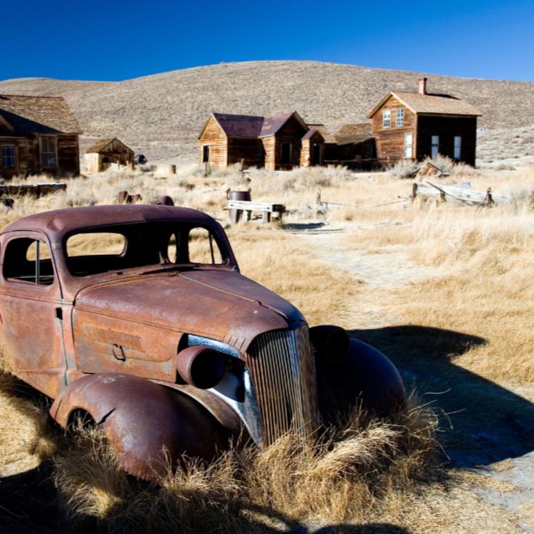 cover art for Bodie ou la fièvre de l'or