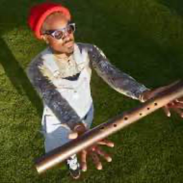 cover art for Apprehensive