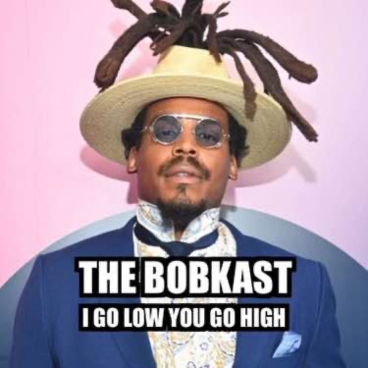 cover art for I go low You go high