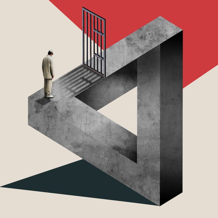 cover art for Prison Crisis: The Chief Inspector of Probation, Martin Jones CBE Speaks...