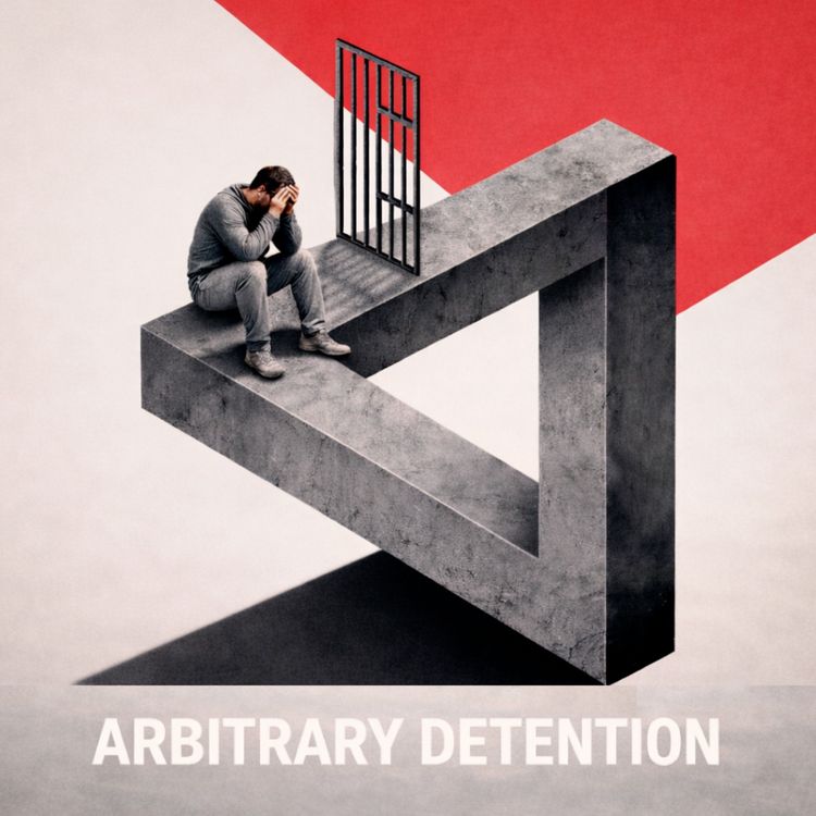 cover art for 22. Arbitrary Detention