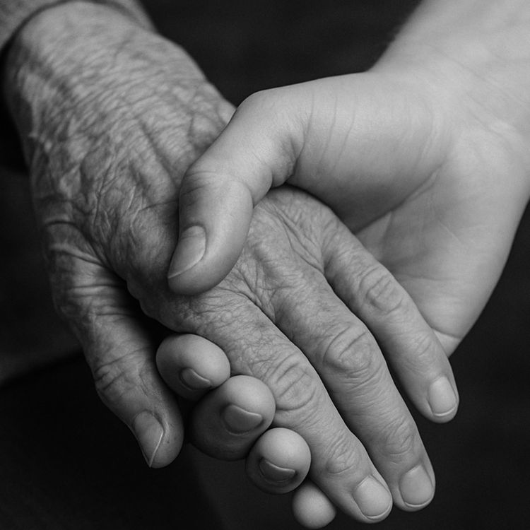 cover art for End-of-Life Doula and Palliative Care