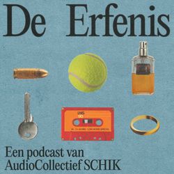 cover art for De Erfenis