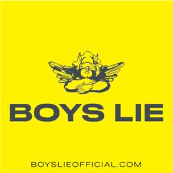 cover art for BOYS LIE