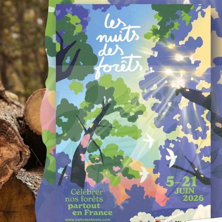 cover art for Baugé-en-Anjou. Nouvelle édition pour les Nuits des Forêts - Vincent Ouvrard - vendredi 12 juin 2026