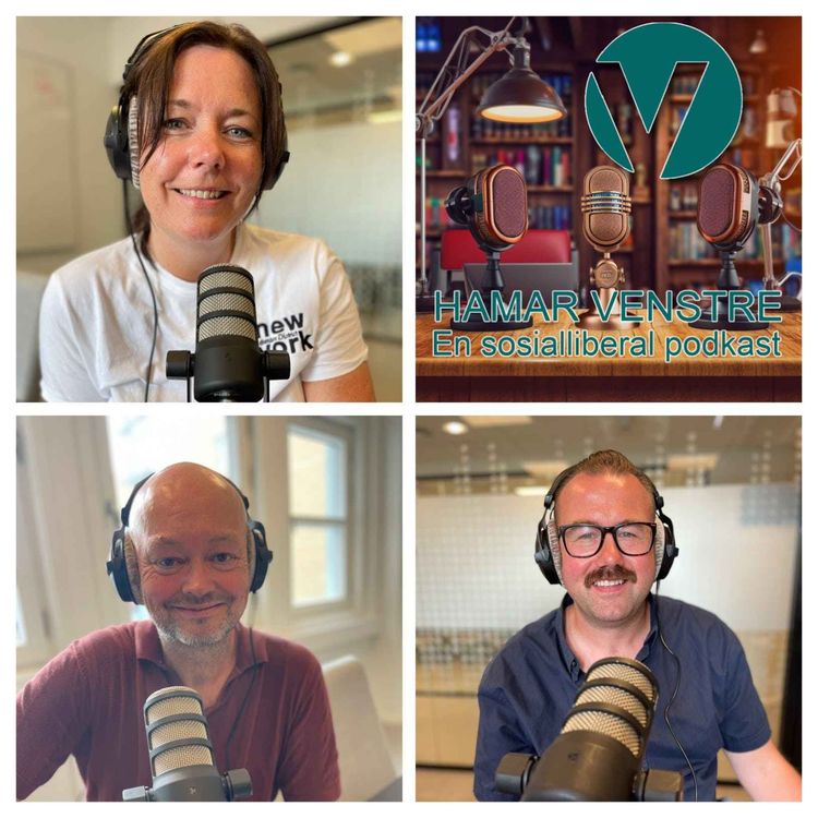 cover art for Skolestruktur i Hamar