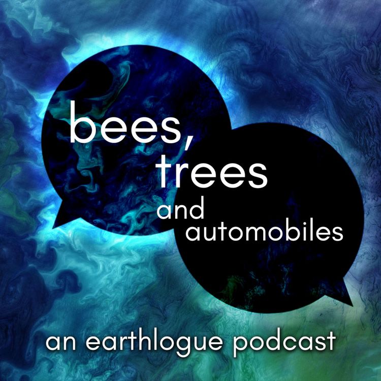 cover art for Flooding the Sahara - 26th May 2023