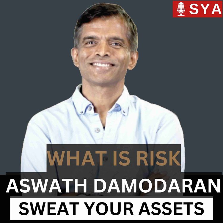 cover art for What is Risk in Investing, by Aswath Damodaran
