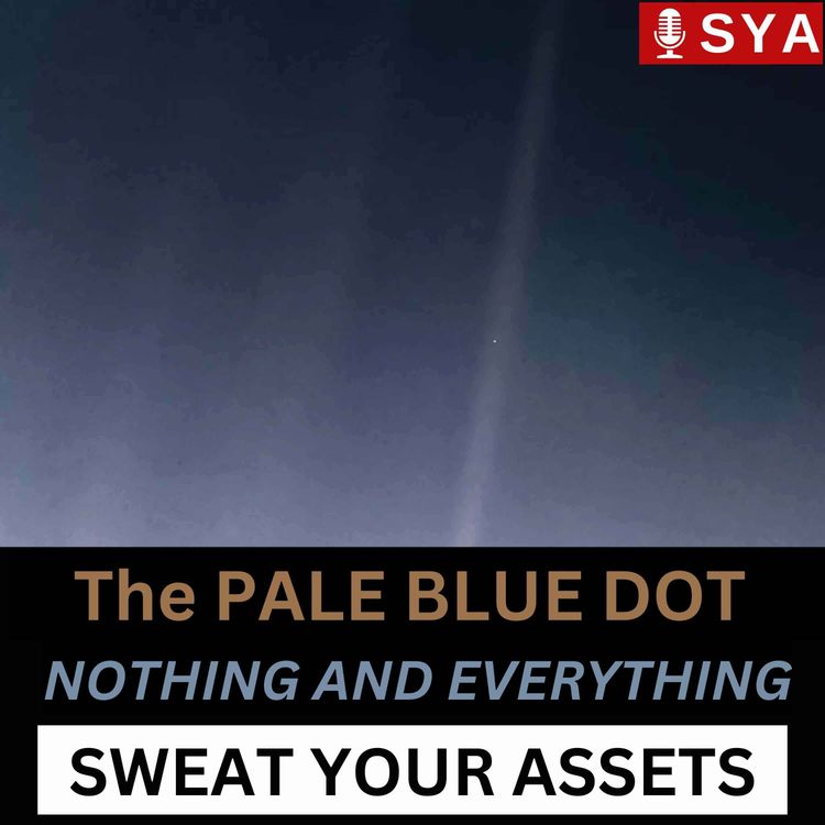 cover art for The Pale Blue Dot: A Compass for Chaotic Times