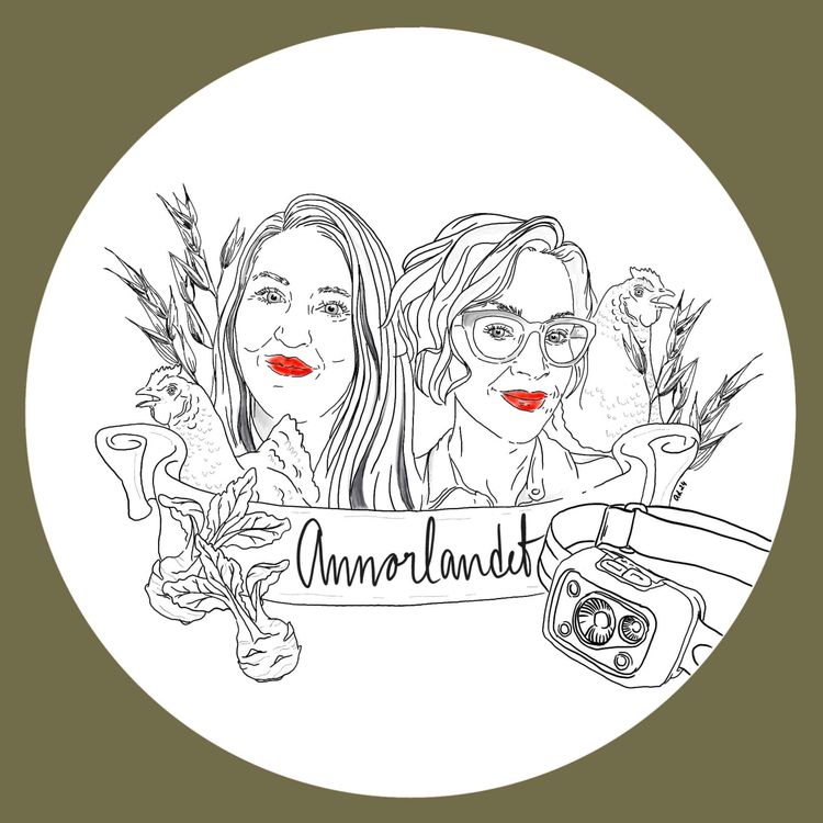 cover art for Flest prylar när en dör vinner