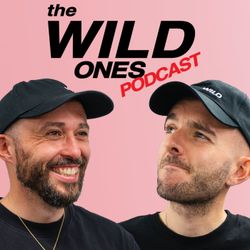 cover art for The Wild Ones