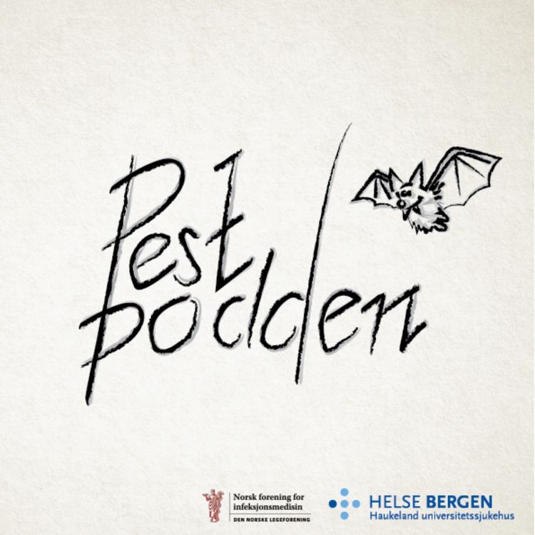 cover art for Flaggermusens mysterier