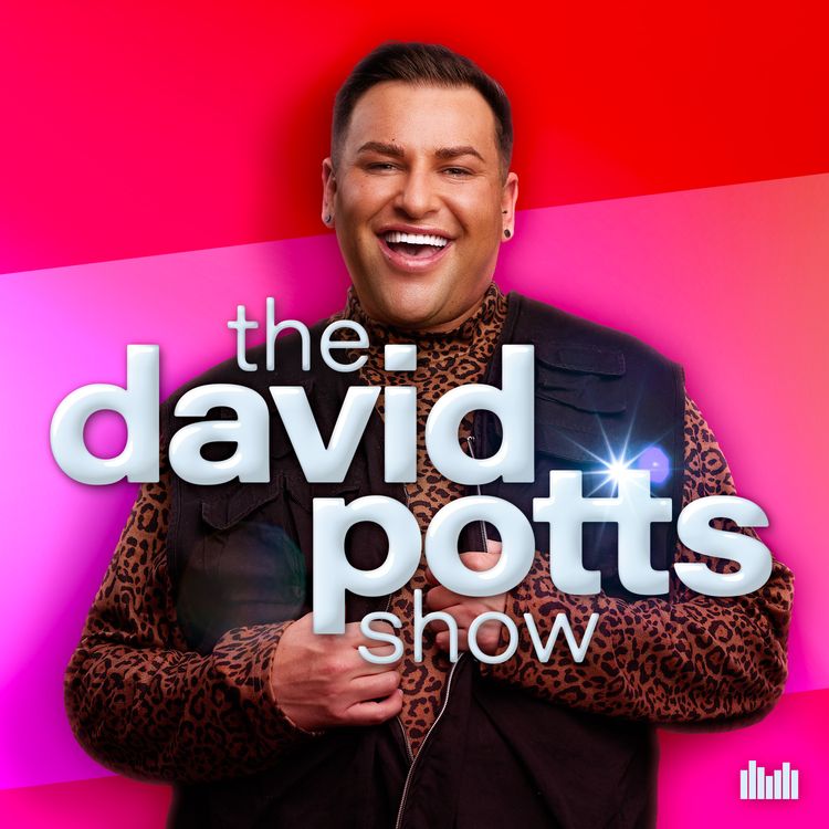 cover art for Introducing... The David Potts Show