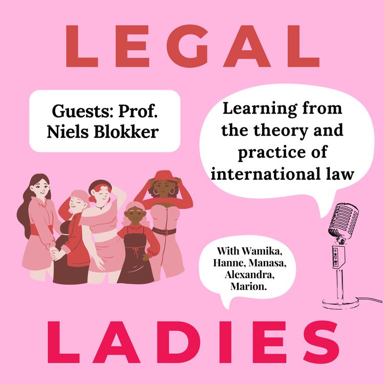 cover art for Learning from the theory and practice of International Law