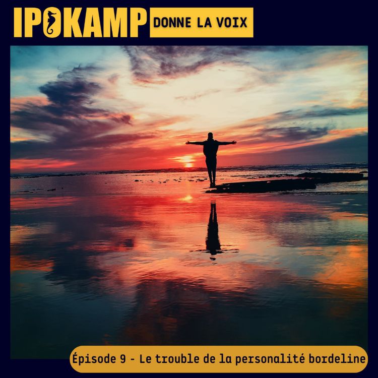 cover art for Le trouble de la personalité borderline
