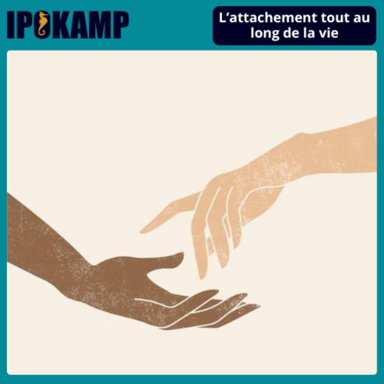 cover art for #13 L'attachement tout au long de la vie