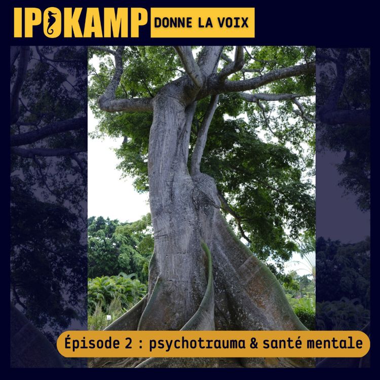 cover art for Traumatisme & santé mentale