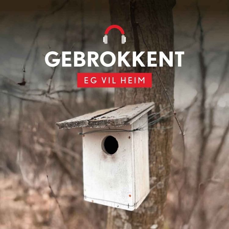 cover art for Gebrokkent