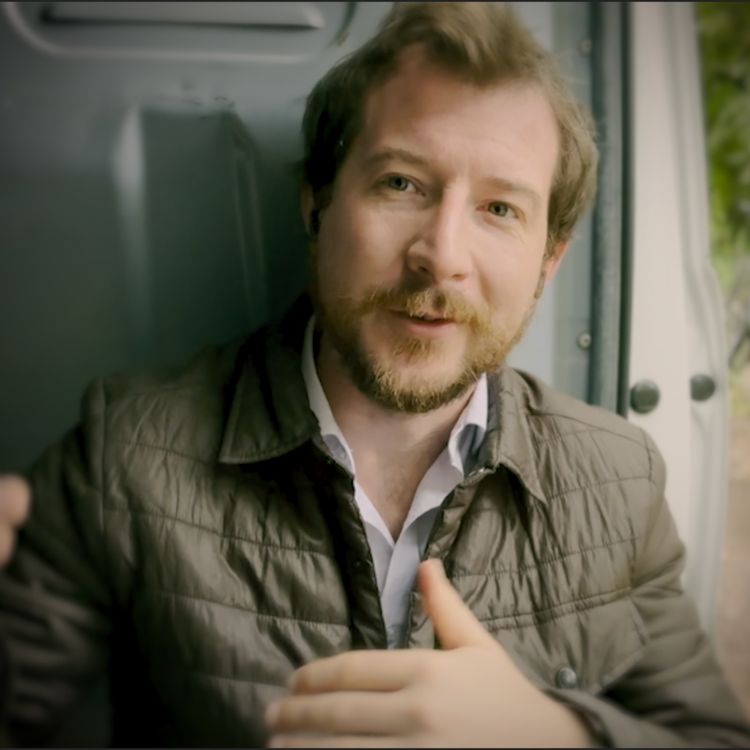 cover art for Butterfly Effect