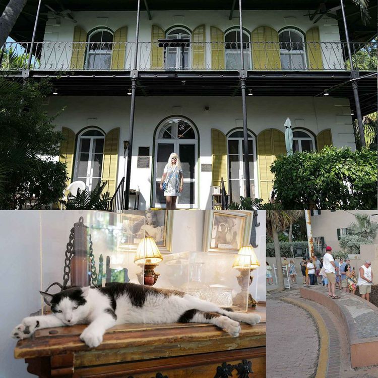 cover art for Ze Stano w Stanach 2: W pogoni za Hemingwayem