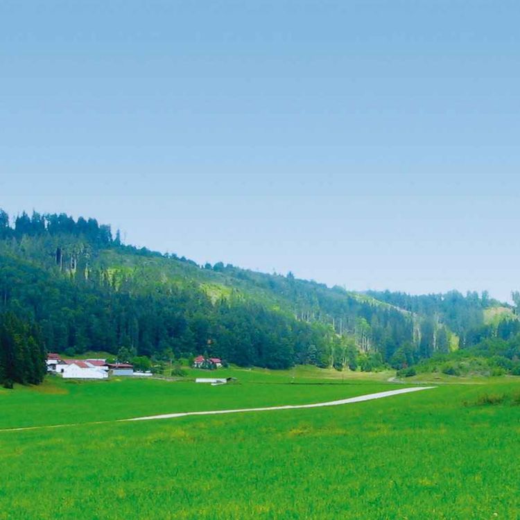 cover art for Biwak na odludziu / Murańska Planina