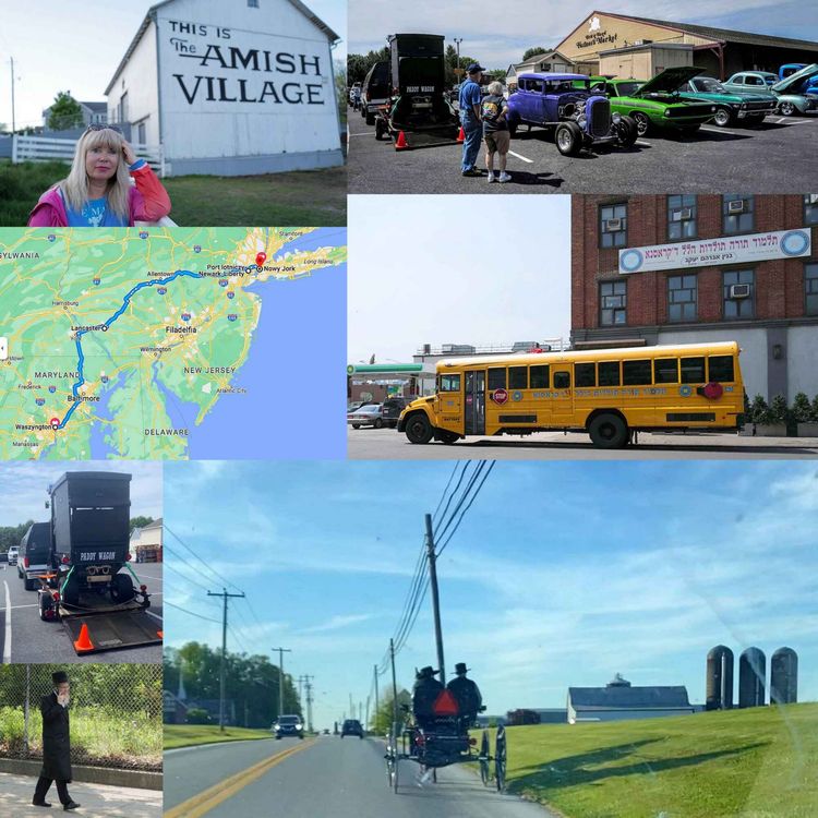 cover art for Ze Stano w Stanach 5: Bryczką po Ameryce?