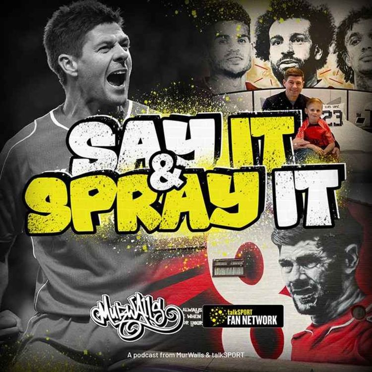 cover art for Say It & Spray It - Steven Gerrard