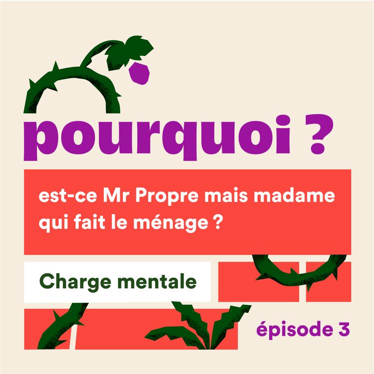 cover art for Pourquoi est-ce Mr Propre mais madame qui fait le ménage ?