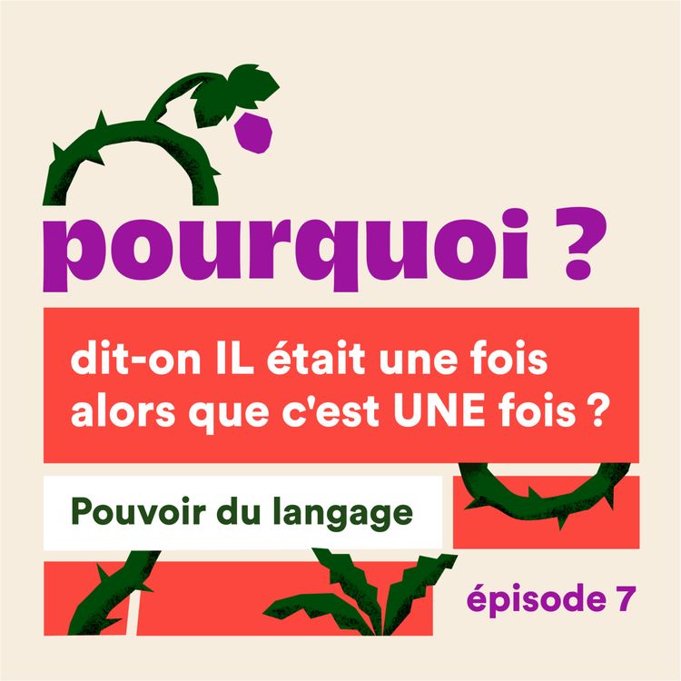 cover art for Pourquoi dit-on IL était une fois alors que c'est UNE fois ?