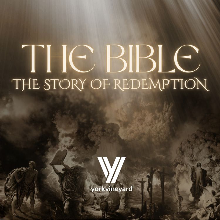 cover art for The Bible: Why and How Do We Read It? Matthew 7:24-27 | Tom Bennett