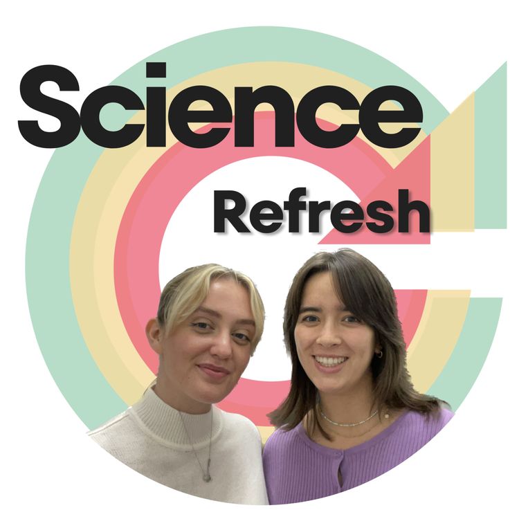 cover art for 13. November Recap