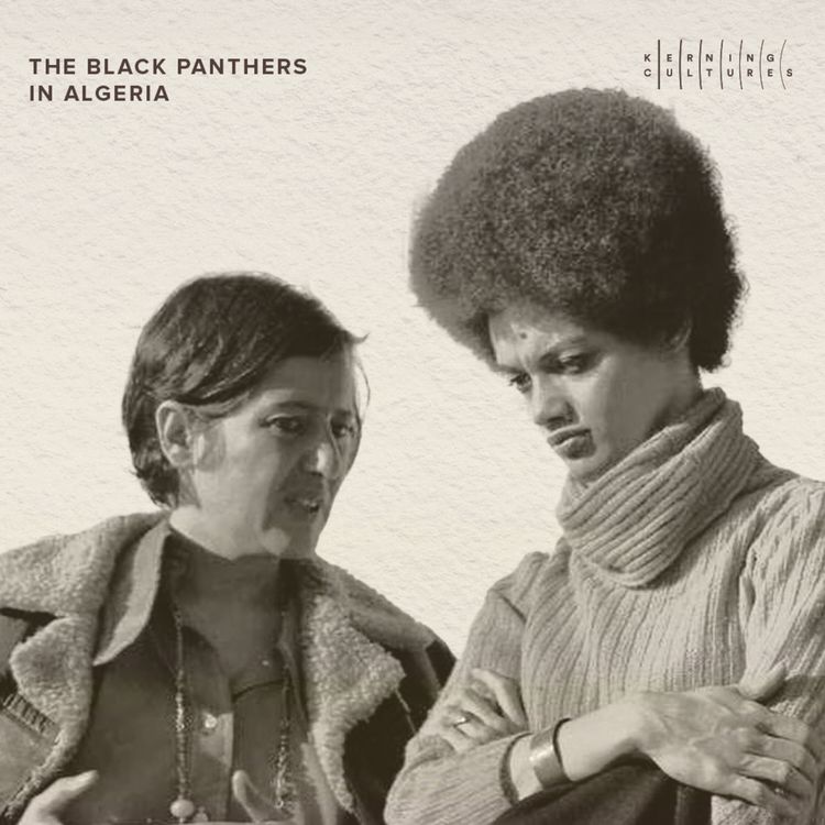 cover art for The Black Panthers in Algeria