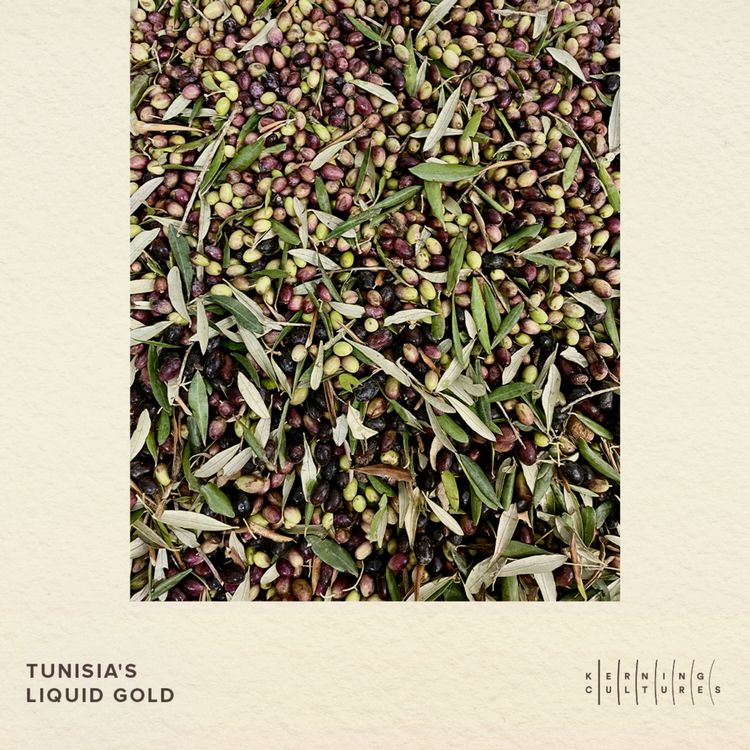 cover art for Tunisia’s Liquid Gold